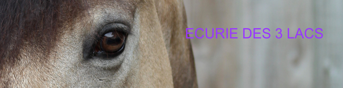 ECURIE DES 3 LACS
